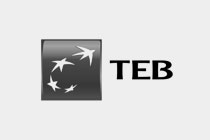 TEB